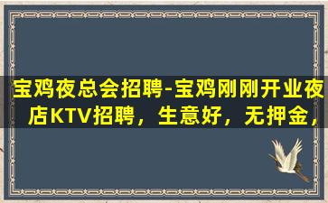 驻马店酒吧招聘